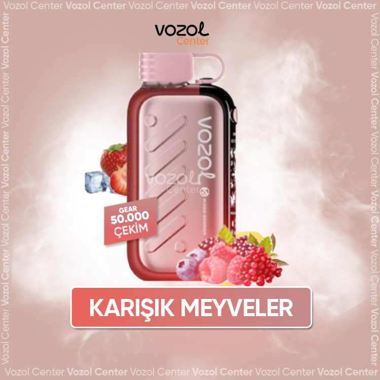 Mixed Berries Satın Al | Vozol Gear 50000 Hızlı Teslimat