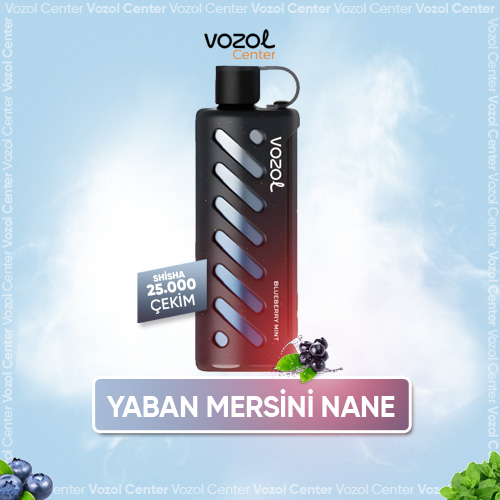 Blueberry Mint Vozol Shisha 25000 Nerede Satılır?