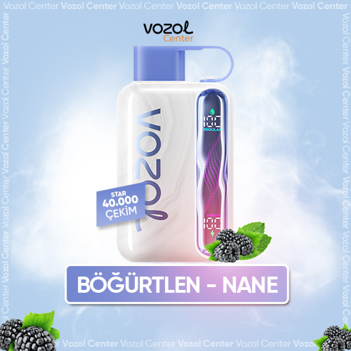 Blueberry Mint Star 40K İçin En İyi Fiyat - Vozol Center Türkiye
