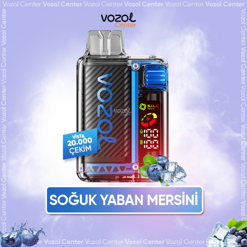 Vozol Vista 20000 Puff Bluerazz Ice - Vozol Center