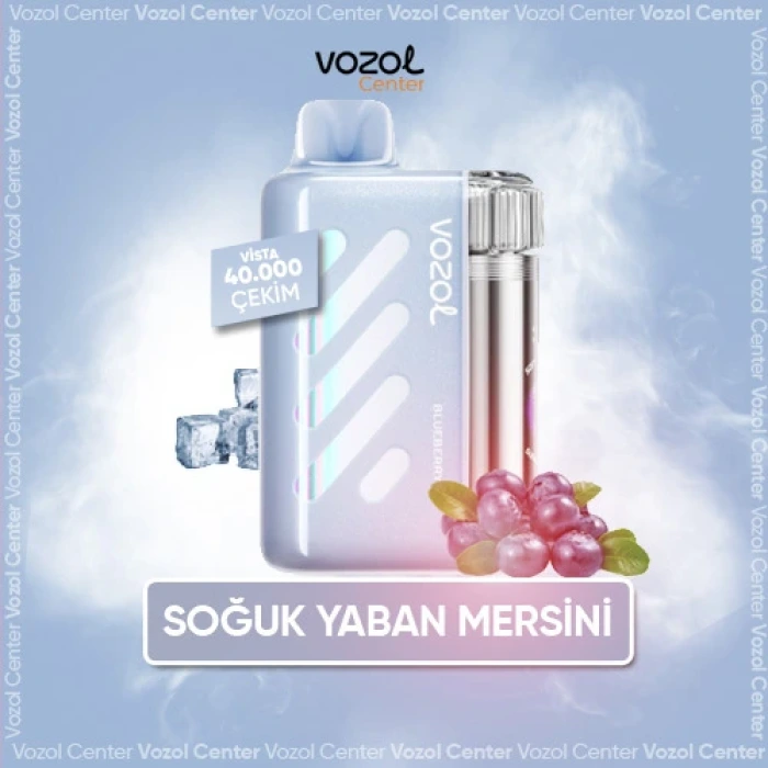 Blueberry Ice Vozol Vista 40000 Siparişinizi Verin