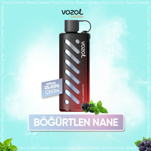 Blueberry Ice Shisha 25000 Fırsatı | Eco/Power Mod