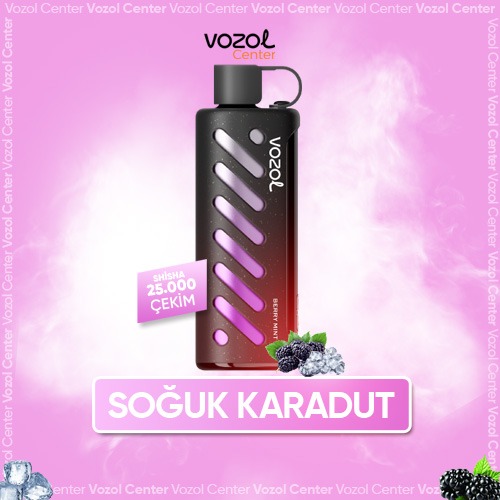 Vozol Gear Shisha 25000 Puff Berry Mint - Vozol Center