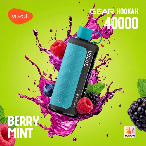 Vozol Hookah 40000 Berry Mint