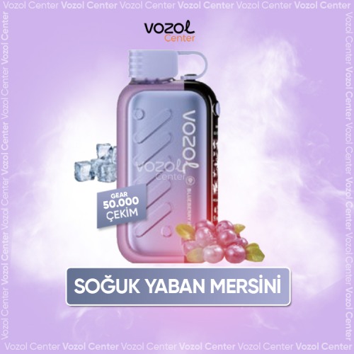 Blueberry Ice Nerede Satılır? Vozol 50000 Adresi