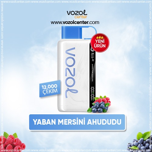 Blueberry Storm Vozol 12K Orijinal Ürün Garantisi