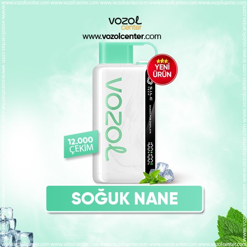 Cool Mint Vozol Center'da | 12.000 Puff Fiyatı