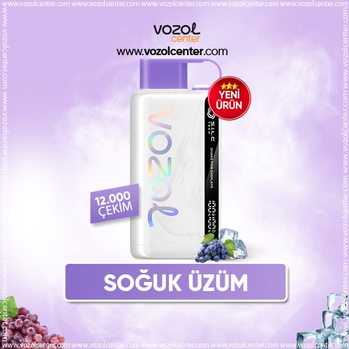 Vozol 12000 Puff Grape Ice Elektronik Sigara - Vozol Center
